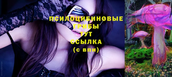 PSILOCYBIN Верхний Тагил