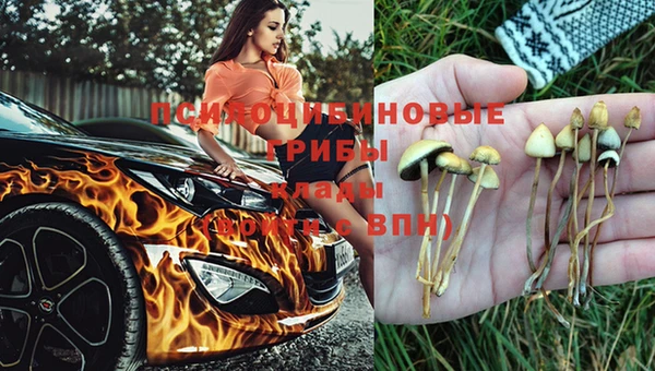 гидра Горно-Алтайск