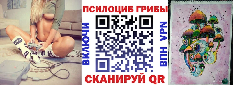 Псилоцибиновые грибы Cubensis наркошоп Ефремов